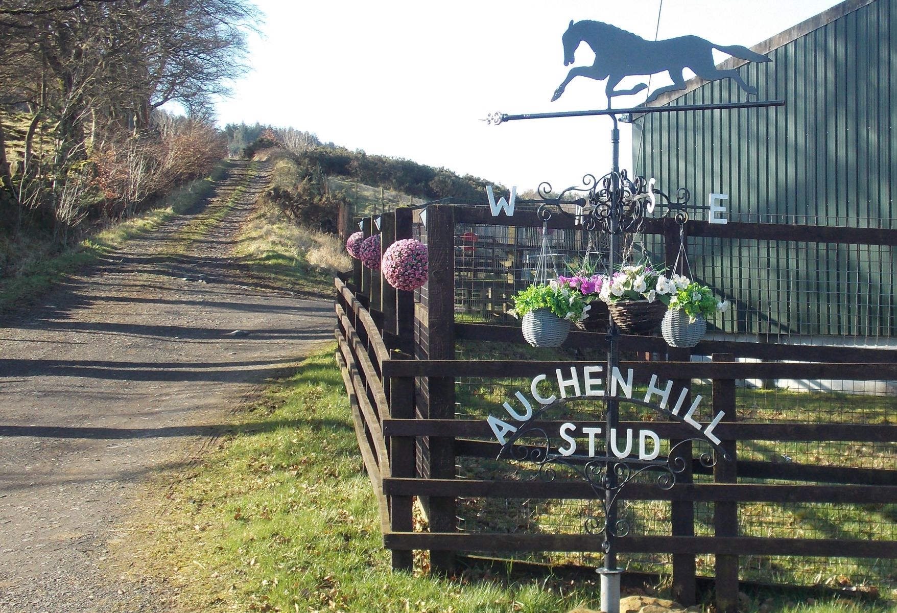 Auchen Hill Stud Farm