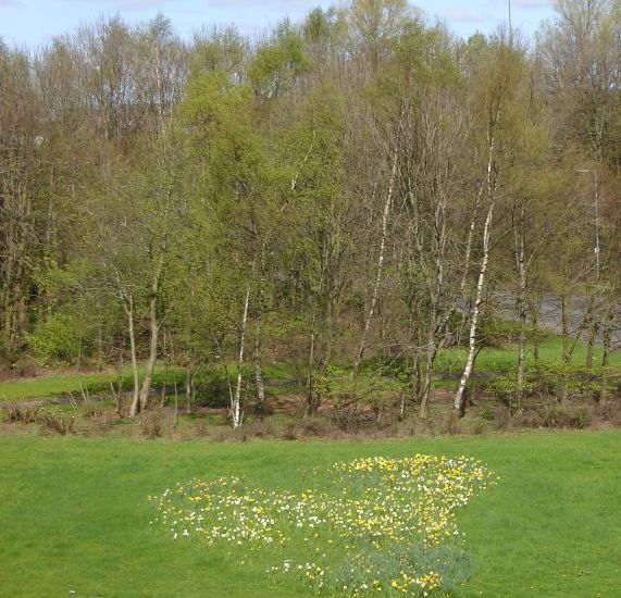 Sighthill Park