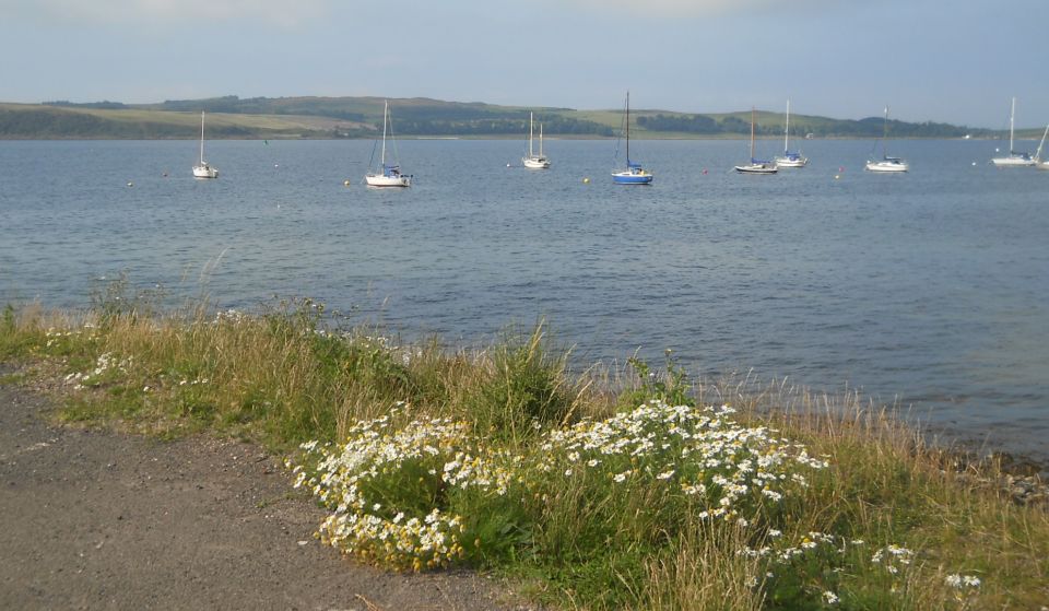 Isle of Cumbrae from Fairlie