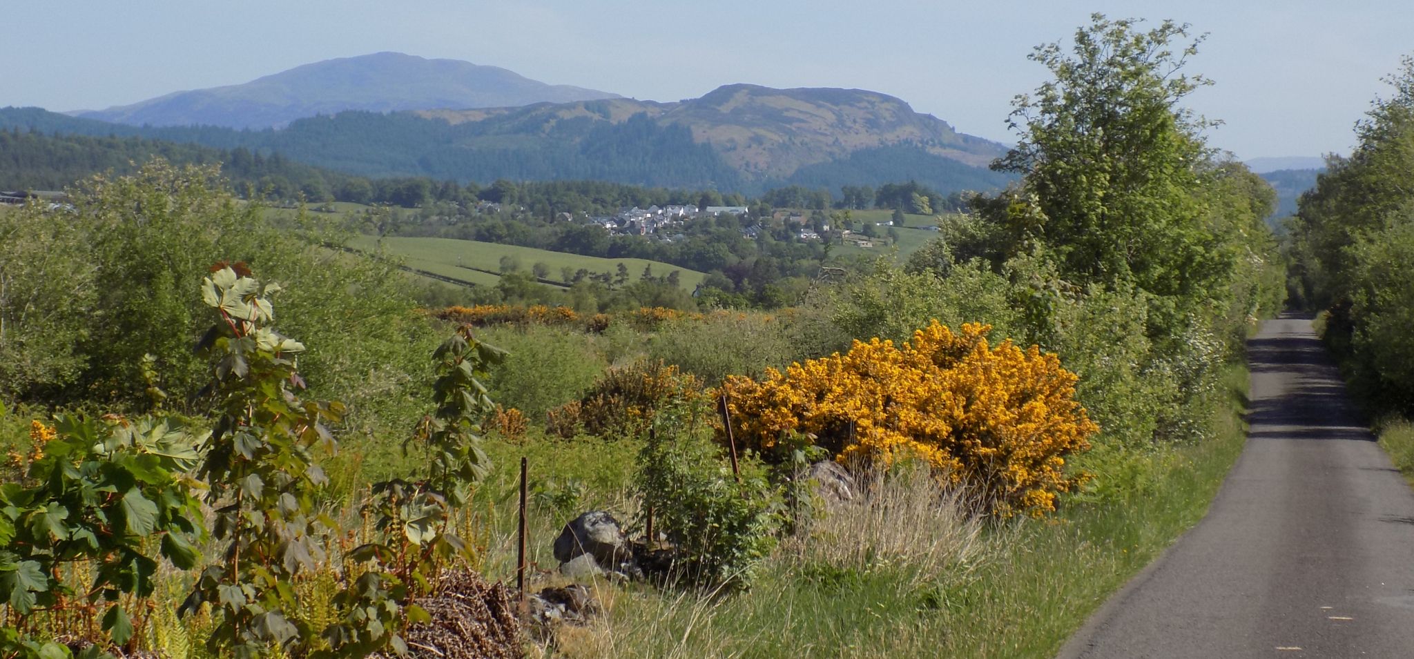 Ben Venue and Menteith Hills from the Rob Roy Way