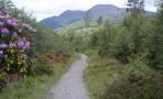 WHW-Rowardennan.jpg