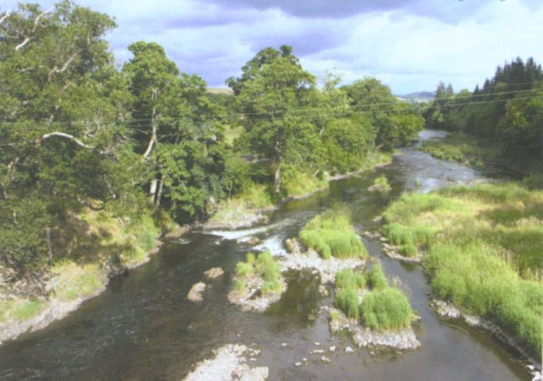 River Tweed