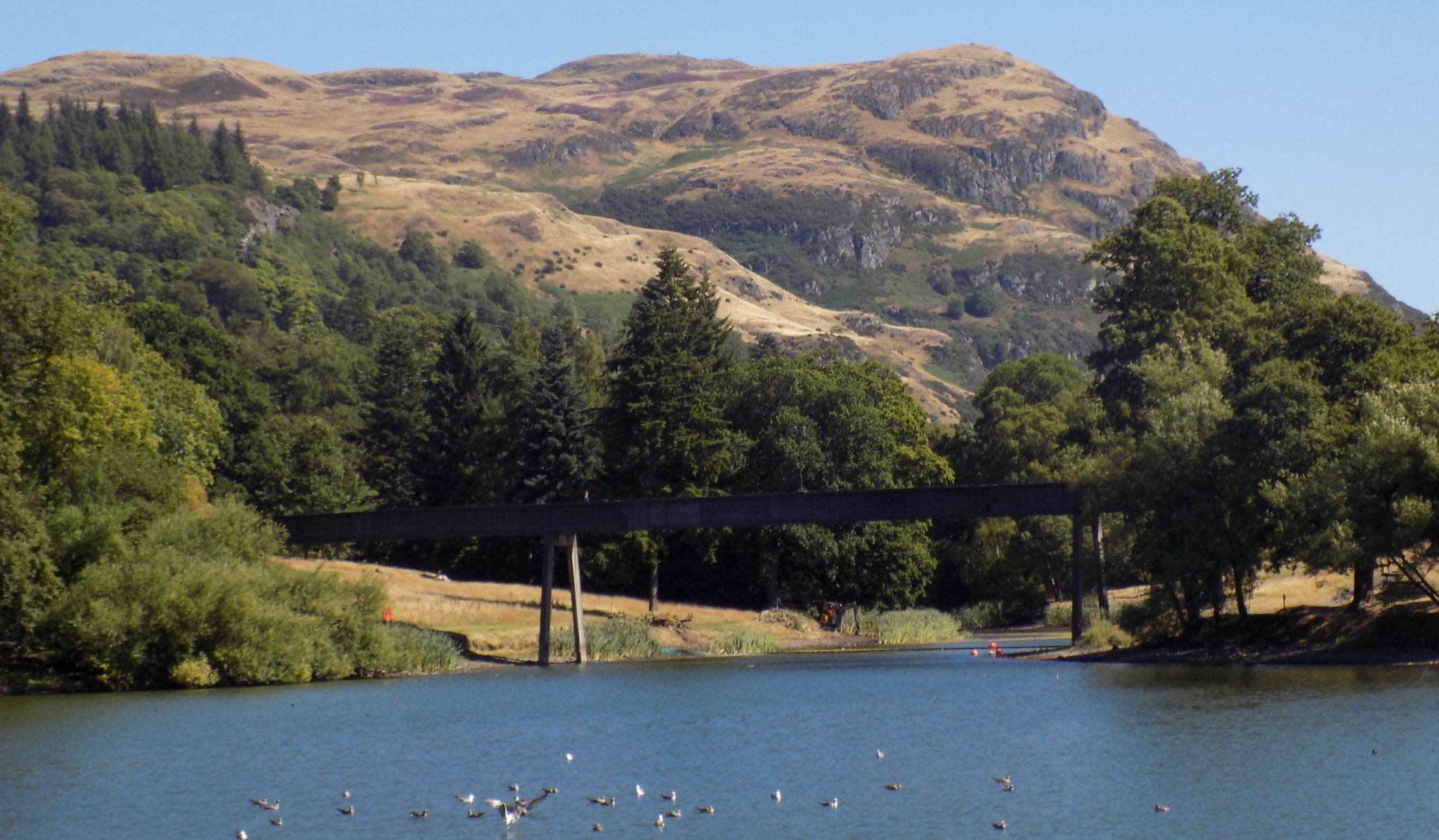 Dumyat from campus of Stirling University