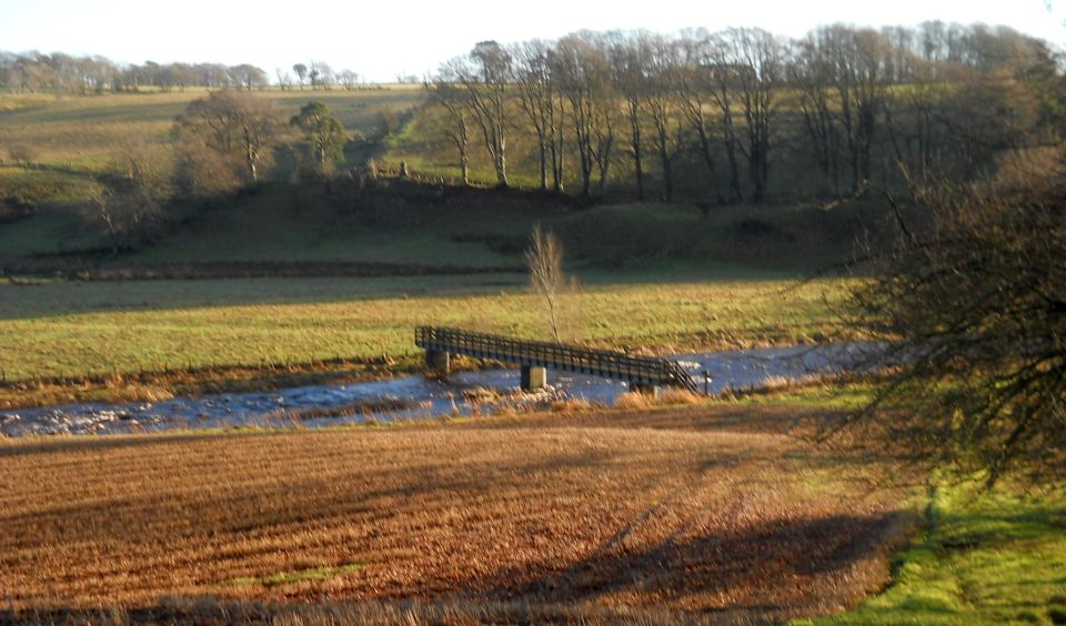 Footbridge over the Avon River