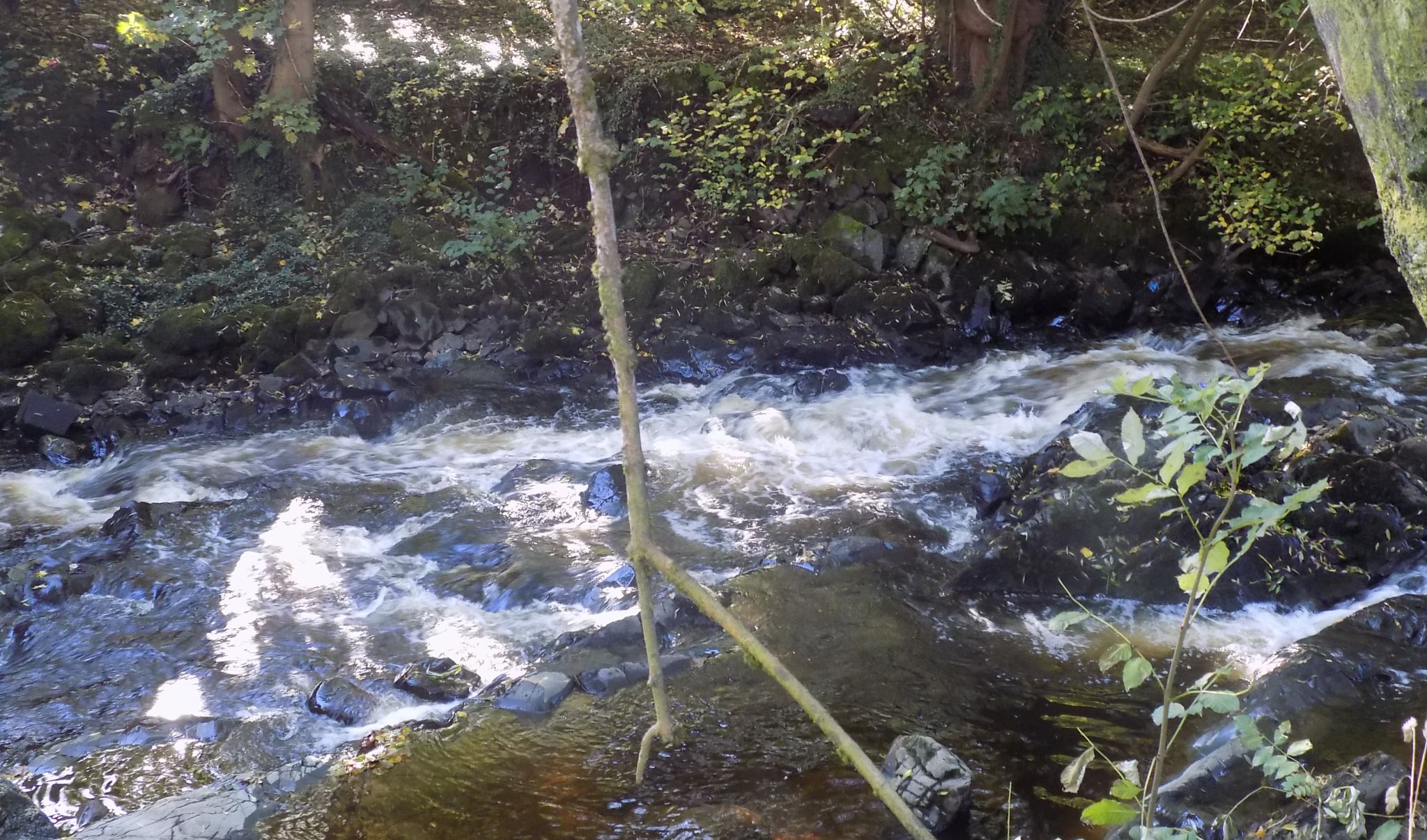 Glazert Water at Milton of Campsie