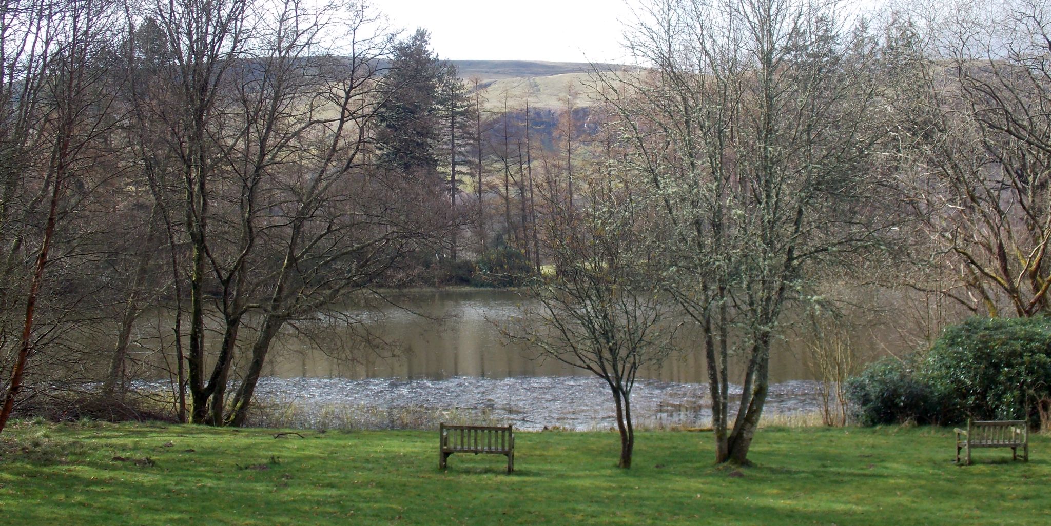 Pond at Culcreuch Castle