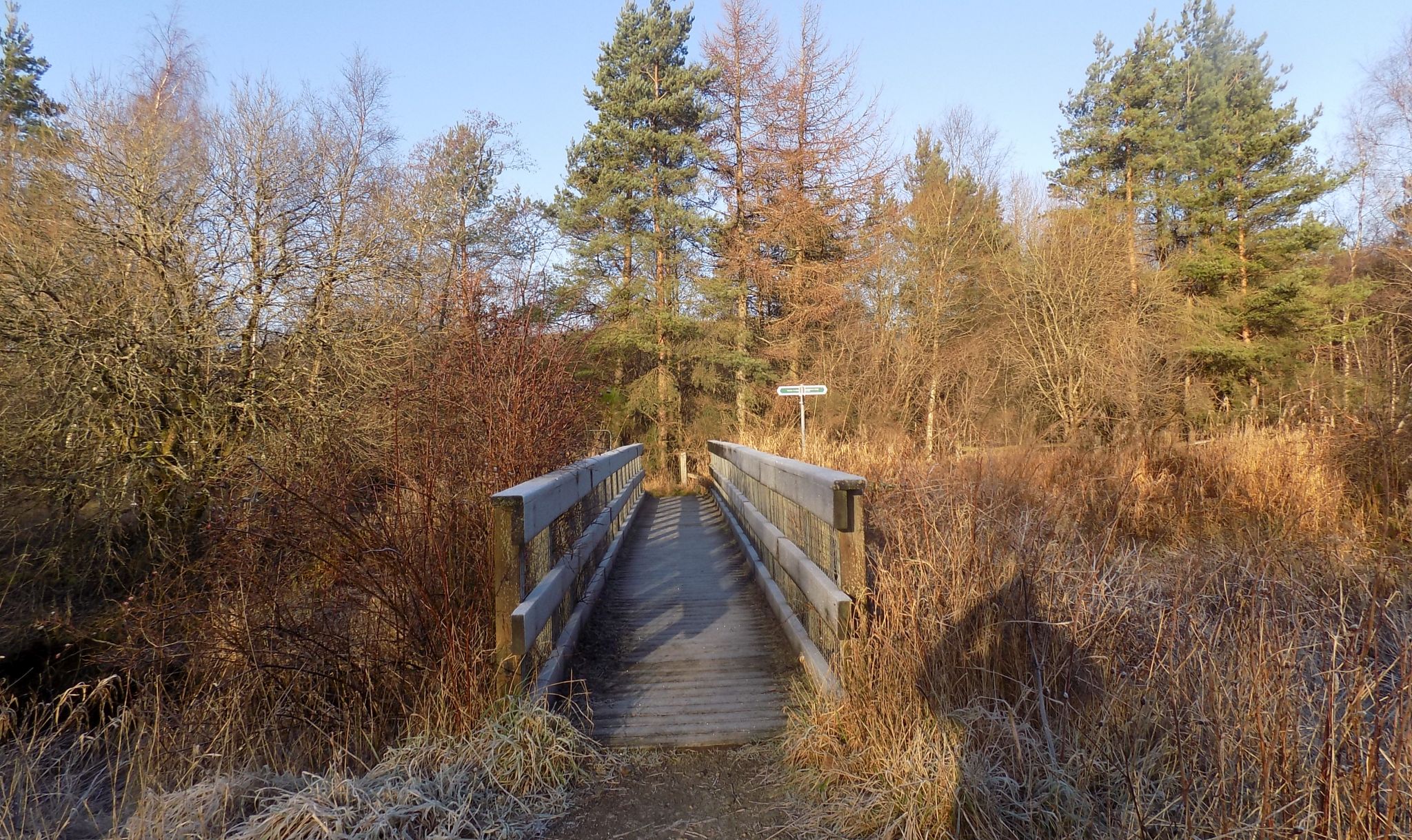 Track to Dullatur Marsh Nature Reserve