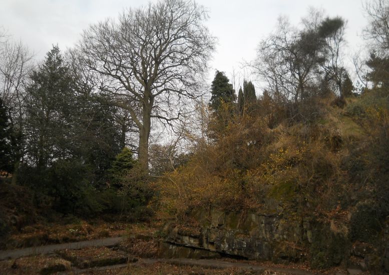 Rock Quarry Garden in Victoria Park