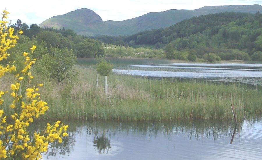 West Highland Way - Dumgoyne from Craigallien Loch