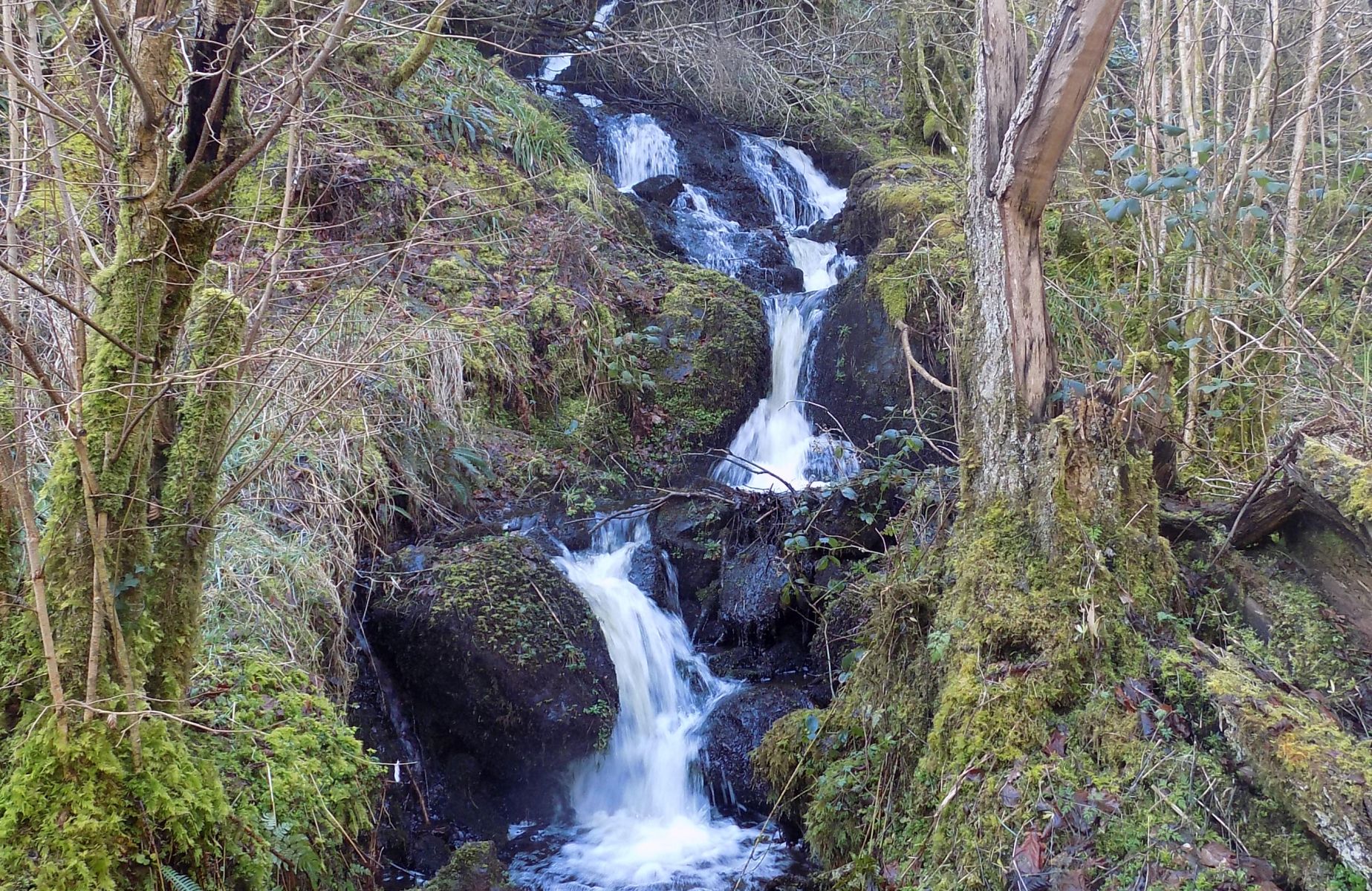 Waterfalls in Auchmountain Glen