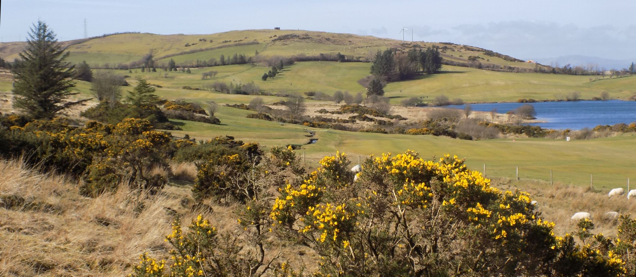 Hill top above Whinhill Reservoir