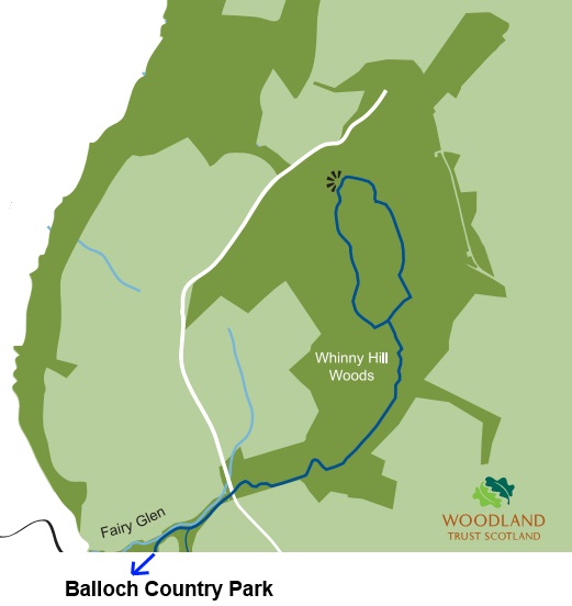 Map of Whinny Hill