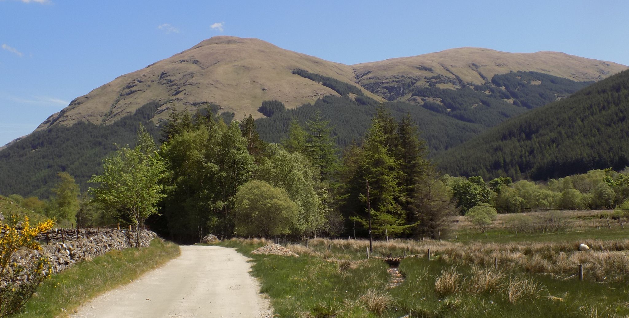 Cruach Ardrain and Beinn Tulaichean from Stob a'Choin