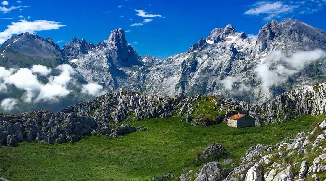 Dónde está el naranjo de bulnes