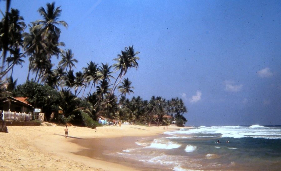 Beach at Hikkaduwa on the west coast of Sri Lanka