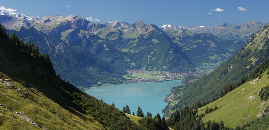 Brienzersee / Lake Brienz