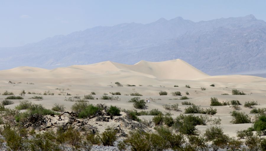 Sand Dunes in Death Valley