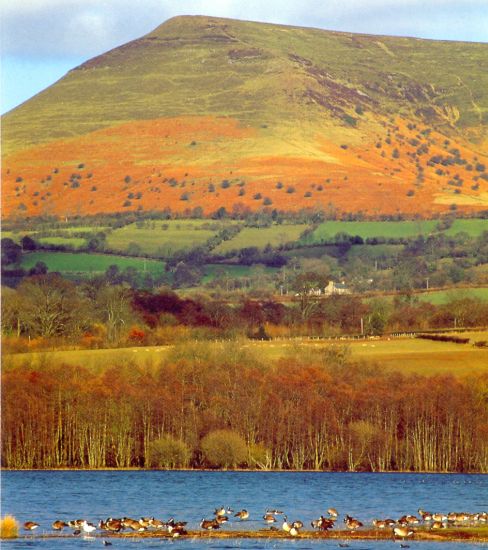 Brecon Beacons